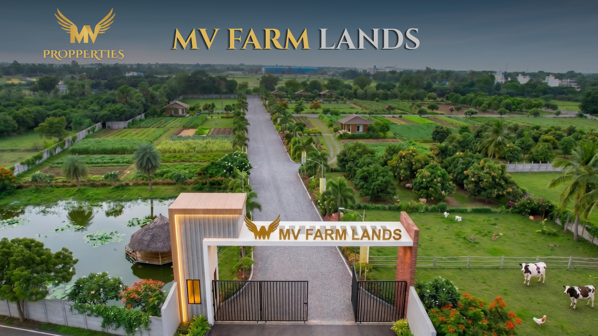MV Farm Lands